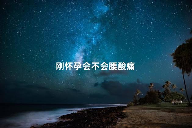   刚怀孕会不会腰酸痛,怀孕初期会腰酸痛吗